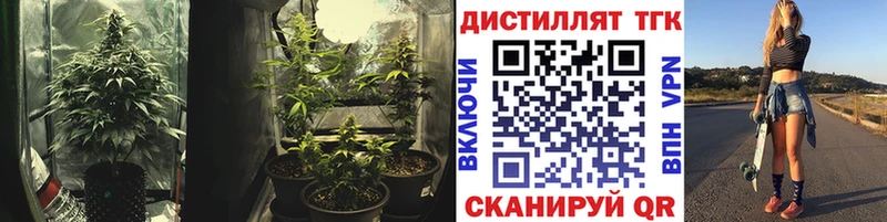 Дистиллят ТГК Wax  Лагань 