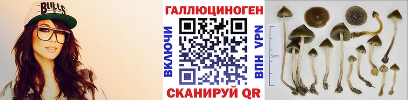 Галлюциногенные грибы Psilocybe  Лагань 